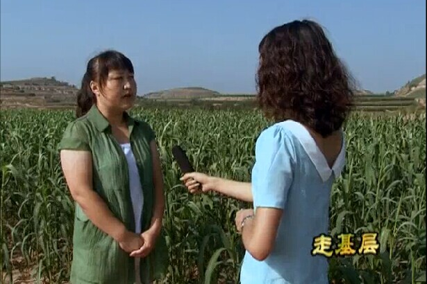 桥河岔乡访谈