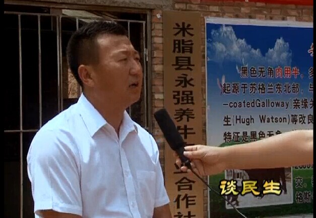 米脂桃镇镇镇长电视讲话