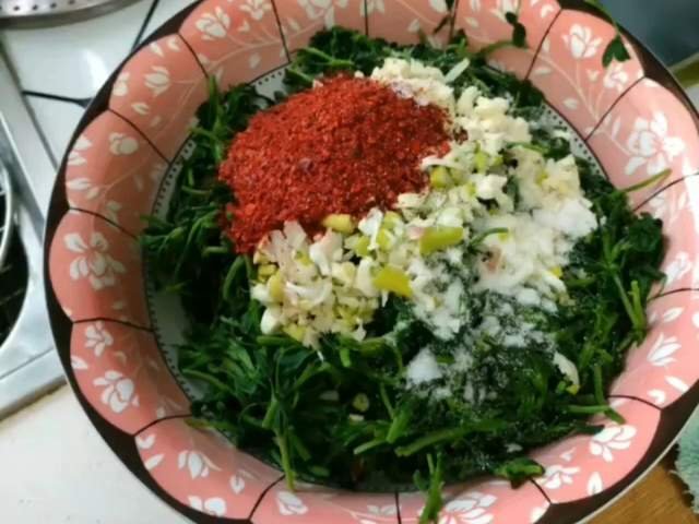 陕北人开春的第一顿美食——土豆燃苜蓿