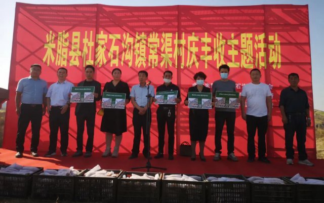 喜迎二十大 || 杜家石沟镇：常渠红薯喜丰收 村民日子更“红火”