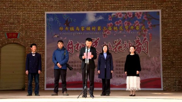 印斗镇马家铺村举办第三届桃花节