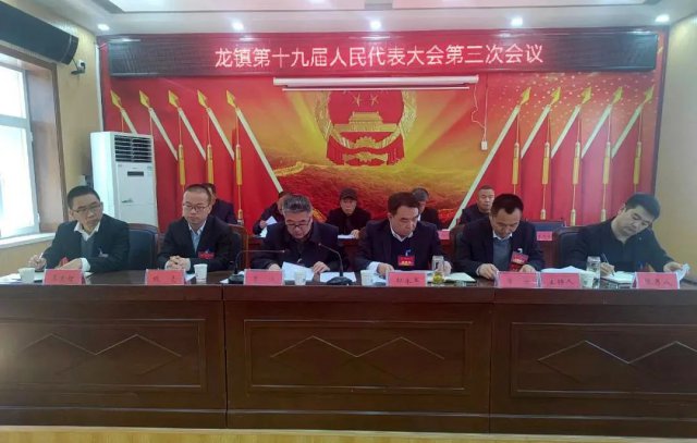 龙镇第十九届人民代表大会第三次会议召开