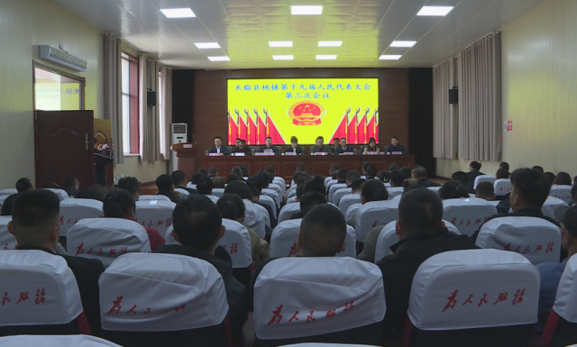 桃镇第十九届人民代表大会第三次会议暨2024年经济工作会议召开