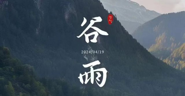 谷雨 || 日出布谷鸣 田家拥锄犁